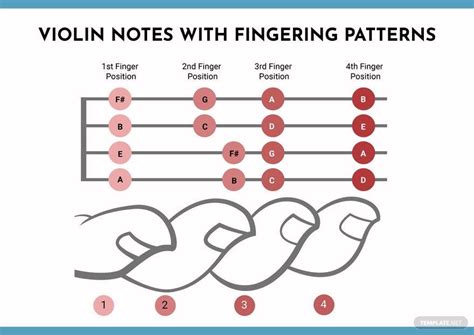 Violin Fingering Chart With Color Coded Notes Learn Violin Scales Techniques Suitable For All