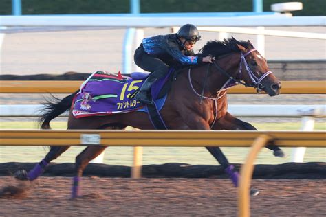 【菊花賞】ファントムシーフがパワフルな動きを披露 陣営「迫力ありました」 ライブドアニュース