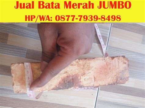 Jual Bata Merah Jumbo Di Pasar Minggu Cv Putra Usaha