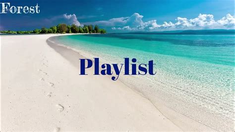 Playlist 더운 여름 우리 같이 시원하게 보내자🍋 여름 분위기를 가진 플레이리스트와 함께🌊 더운 여름에 듣기