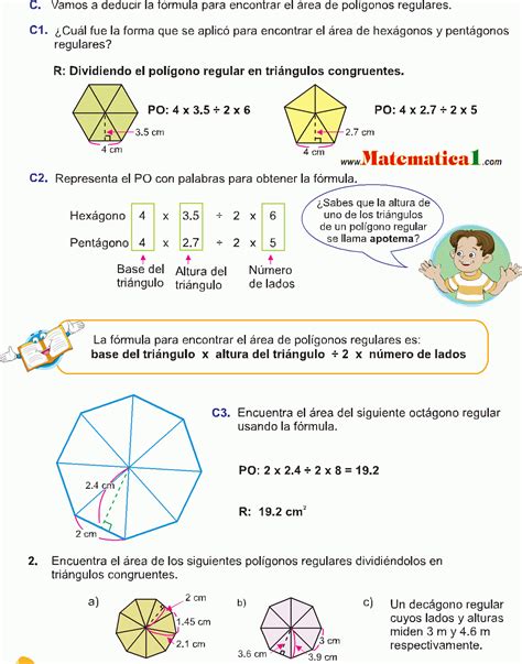 Rea De Un Pol Gono Regular Ejemplos Resueltos De Sexto De Primaria Pdf