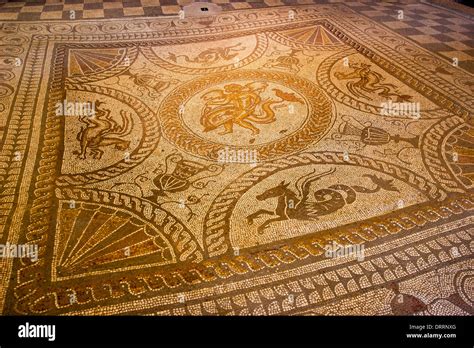 Mosaic floor showing cupid on a dolphin at Fishbourne Roman villa in ...