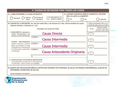 Ppt CertificaciÓn MÉdica De La Causa De DefunciÓn Powerpoint