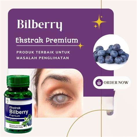 Jual Bilberry Kapsul Premium Isi 60 Kapsul Berhologram Shopee Indonesia