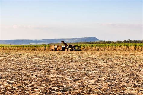 Page 25 Cattle Drought Australia Images Free Download On Freepik