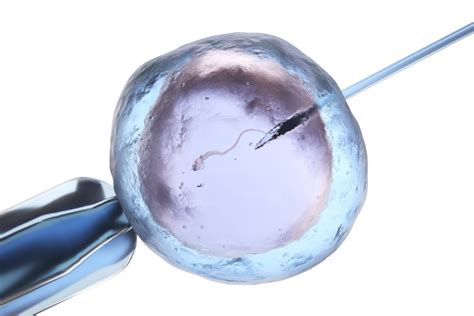 What Is Icsi Icsi Vs Ivf Intracytoplasmic Sperm Injection