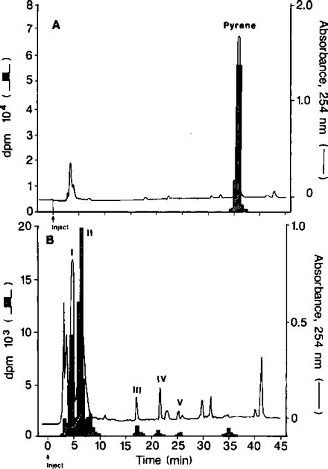 Phthalic Acids Semantic Scholar