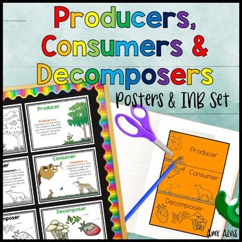 Producer Consumer Decomposer Worksheets Quiz Worksheet Ecological