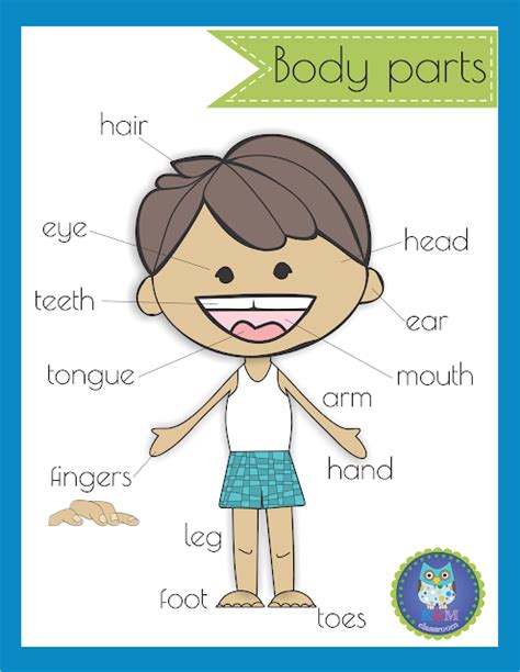 KM Classroom Free Body Parts Poster