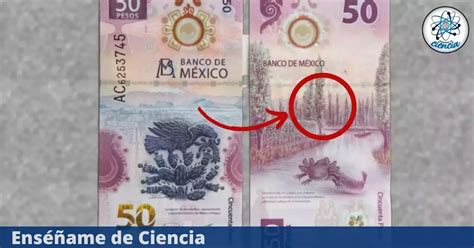 Te Dan Hasta 6 Millones De Pesos Por Este Billete Del Ajolote Que Tiene