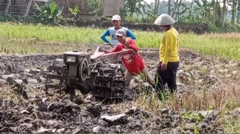 Traktor Sawah Selip 3 Joki Muda Traktor Turun Tangan YouTube