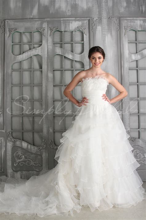 Wedding Pictures Wedding Photos: Cheap Wedding Dress | Wedding Veil ...