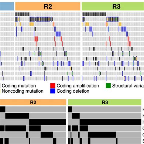 Genomic And Transcriptomic Features Of The Proteomic Subclasses A Download Scientific Diagram