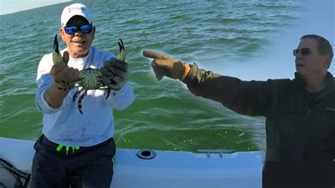 Catching Huge Stone Crabs In The Florida Keys Youtube