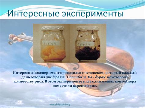 Интересные факты