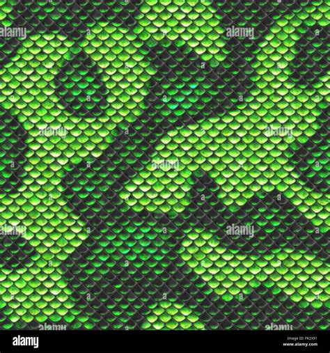 Textura verde perfecta piel de serpiente Fotografía de stock Alamy