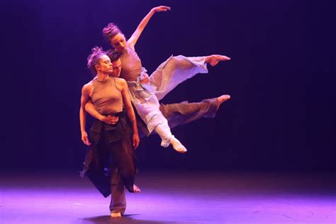 Coreografia Cisne Negro Cia De Dança