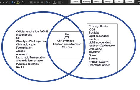 Photosynthesis Vs Cellular Respiration Venn Diagram