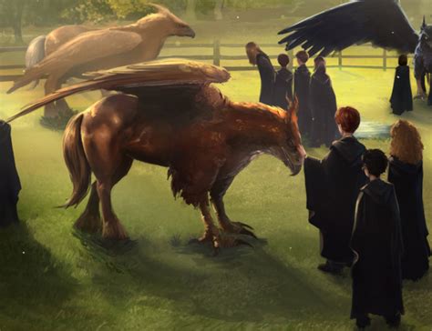 Unidentified chestnut-coloured hippogriff | Harry Potter Wiki | FANDOM powered by Wikia