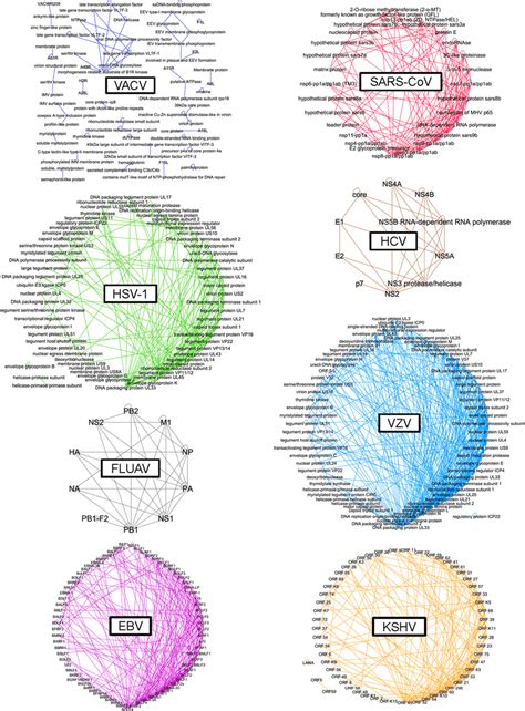 Intraviral Protein Protein Interaction Networks VACV Dark Blue