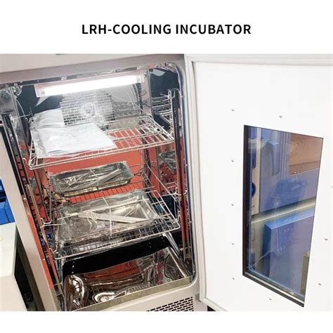 High Quality Biochemical Incubator Mold Incubator Price Lrh Cooling