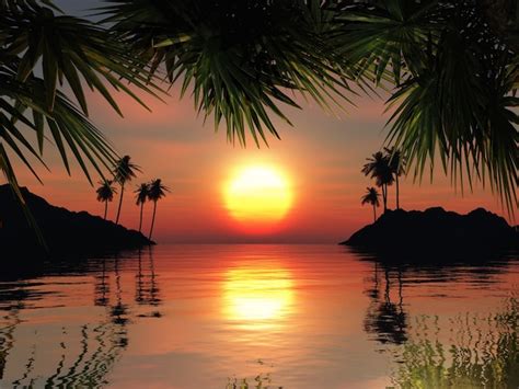 3D Rendent D Un Paysage Tropical Contre Un Ciel Coucher De Soleil