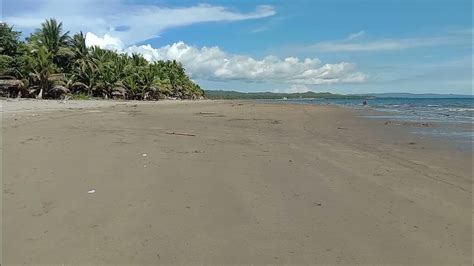 1 Hectare 25 M 200 Ka Punong Ni Frontage 45 M 100 M To Ng Kalsada