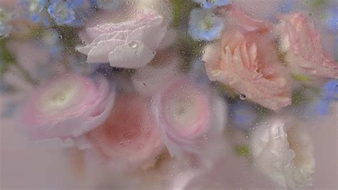 Some Pink And Blue Flowers On A Window