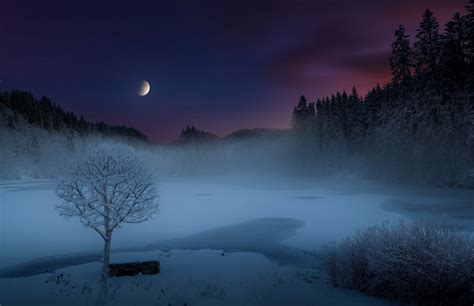 Nature Landscape Mist Lake Snow Forest Moon Shrubs Trees Frost