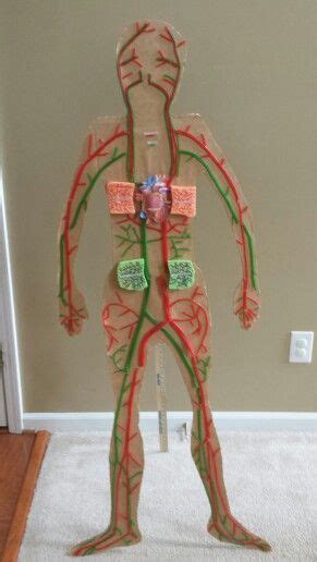 52 Best Nervous System Projects Ideas Nervous System Projects