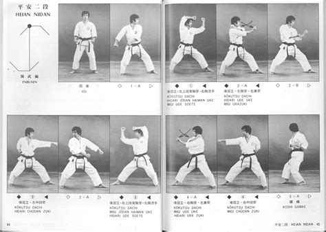 Heian Nidan Vitor Machado Karate