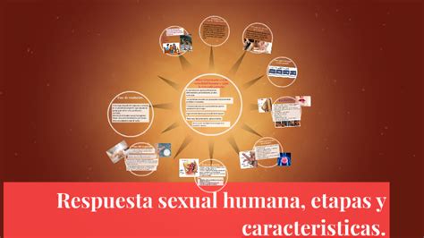 Respuesta Sexual Humana Etapas Y Caracteristicas By Bibiana Rodriguez On Prezi