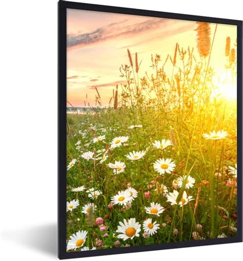 Fotolijst Incl Poster Bloemen Madelief Natuur Zon Horizon