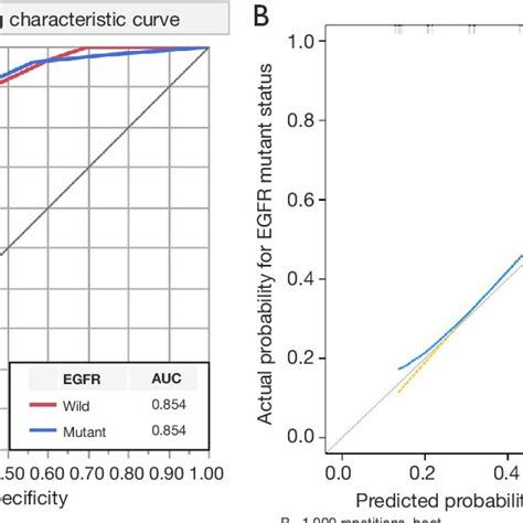 The ROC Curves And Calibration Plot Of CT Based DTA Model A ROC