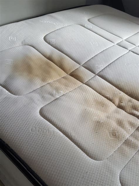 Urine Stain Removal From Mattresses Silent Miltes