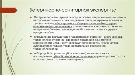 Санитарно-эпидемиологическая экспертиза мяса и мясопродуктов ...