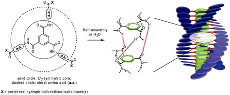 Controlling The Growth And Shape Of Chiral Supramolecular Polymers In