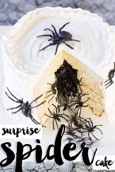 Halloween Spider Cake DIY Tutorial & Recipe