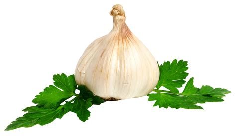 Garlic Clove Png