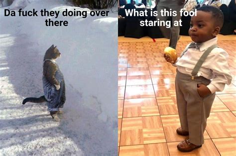 Overalls Cat meets Suspenders Kid : r/memes