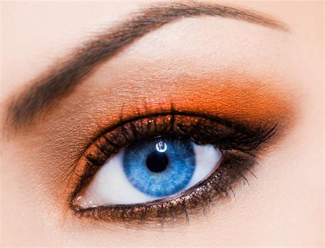 3 Best Eyeshadow Colors For Blue Eyes Musely