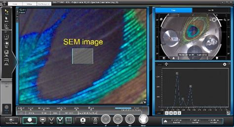 Jsm It Hr Scanning Electron Microscope Products Jeol Ltd