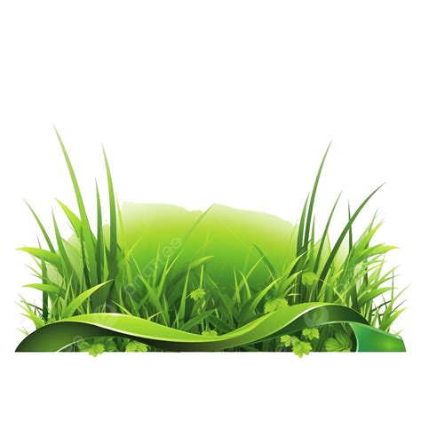 Grass Banner Illustration Grass Lawn Plant Png Transparent Image And