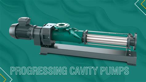 What You Need To Know About Progressing Cavity Pumps Netzsch Pumps