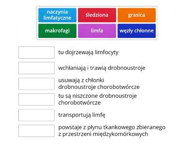 Biologia Klasa7 układ limfatyczny Materiały dydaktyczne