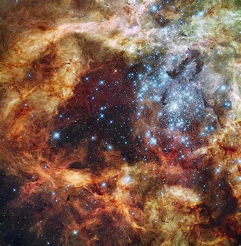 Top 10 Most Massive Stars in the Universe