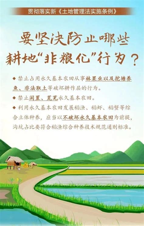 【普法强基：耕地保护法律法规】坚守耕地保护红线 筑牢粮食安全根基澎湃号·政务澎湃新闻 The Paper