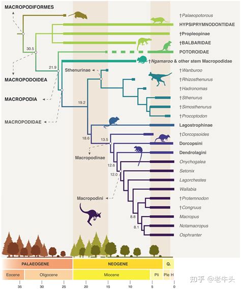 古生物新闻（2023年6月5日-6月18日） - 知乎