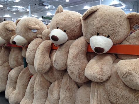 Human Sized Teddy Bear Costco