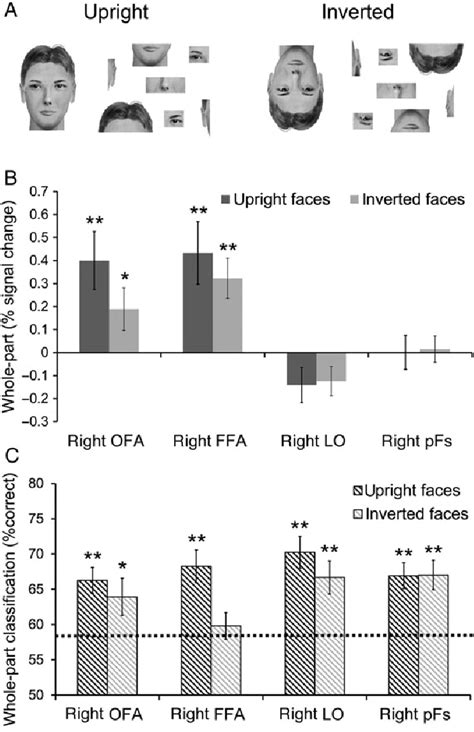 The Response To Upright Or Inverted Faces Versus Their Sums Of Parts Download Scientific